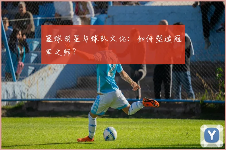篮球明星与球队文化：如何塑造冠军之师？